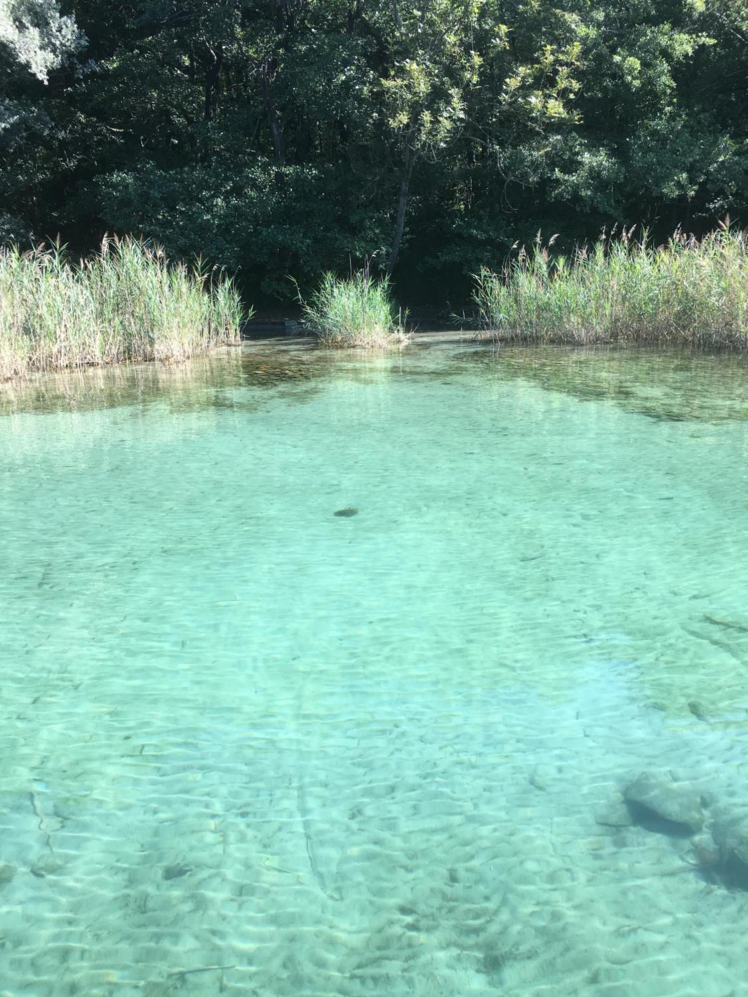 -Ortaflats- Appartamenti Imbarcadero & Palazzotto Orta San Giulio Eksteriør billede